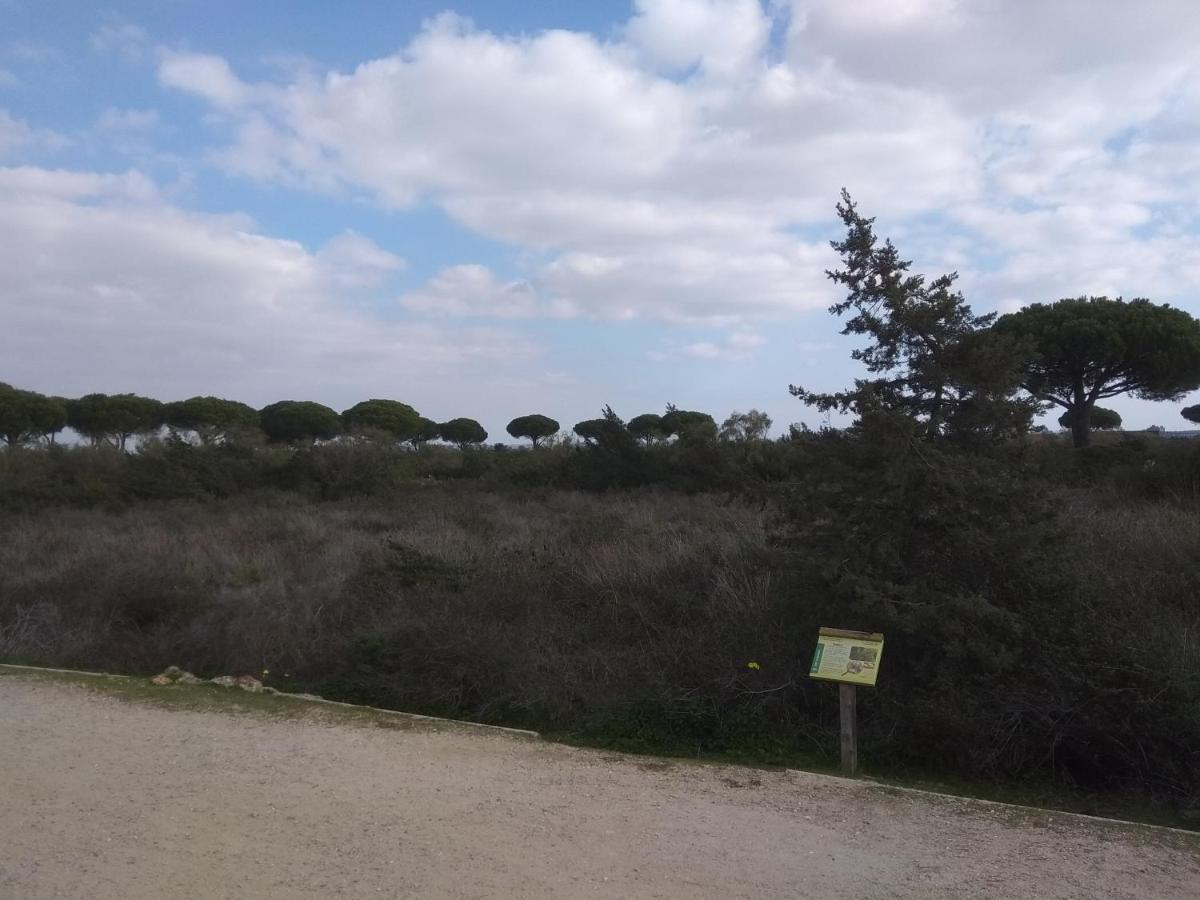 Apartamento Tu Denscanso En Valdelagrana Frente Al Mar El Puerto de Santa María Exterior foto